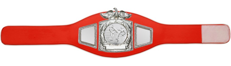 PROEAGLE KICKBOXING CHAMPIONSHIP BELT - PROEAGLE/S/KBOS - AVAILABLE IN 6+ COLOURS PROEAGLE KICKBOXING CHAMPIONSHIP BELT - PROEAGLE/S/KBOS - AVAILABLE IN 6+ COLOURS